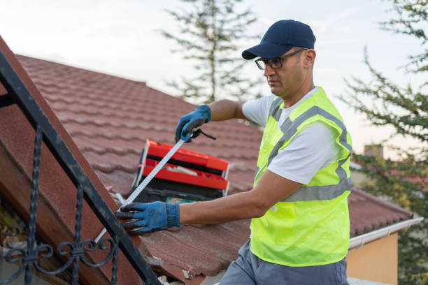 Best Blown-In Insulation  in Olney, IL